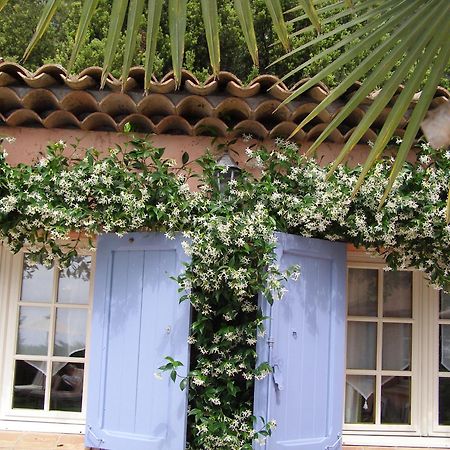 Le Mas Des Cigales Tourrettes-sur-Loup Ngoại thất bức ảnh