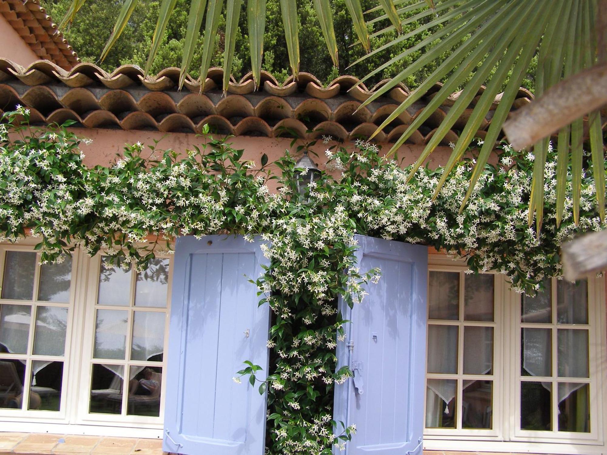 Le Mas Des Cigales Tourrettes-sur-Loup Ngoại thất bức ảnh