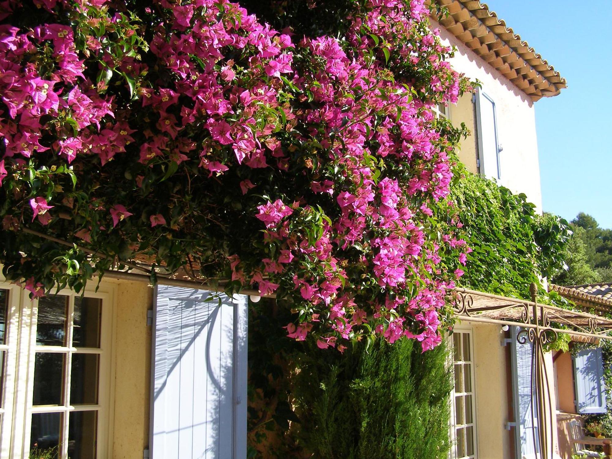 Le Mas Des Cigales Tourrettes-sur-Loup Ngoại thất bức ảnh